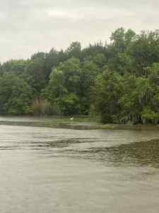 IMG_7436.jpeg