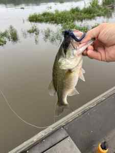 IMG_7482.jpeg