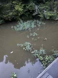 IMG_7504.jpeg