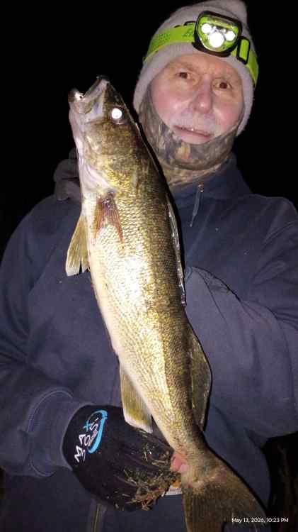 walleye1.jpg