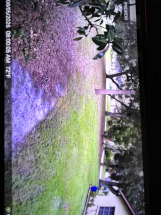 IMG_1552.jpeg