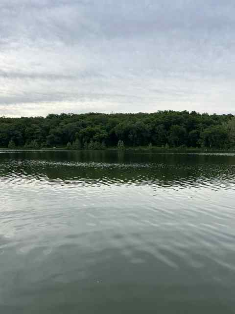 IMG_5167.jpeg