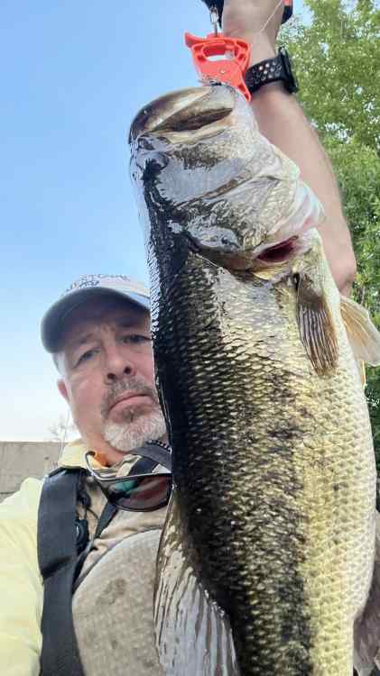 5lb 7oz