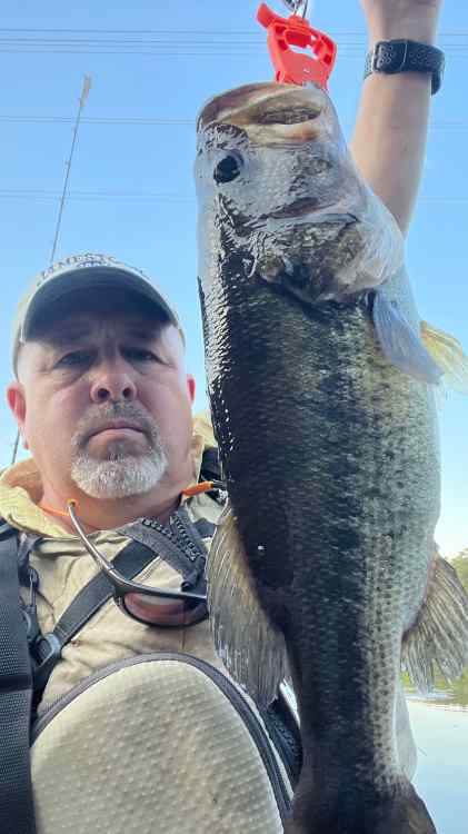 4lbs 11oz