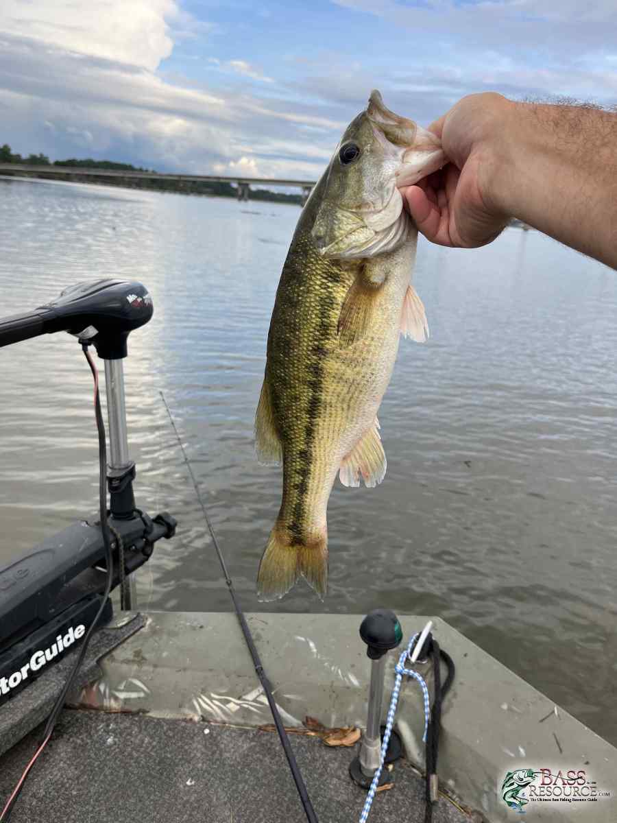 large.IMG_7382.jpeg