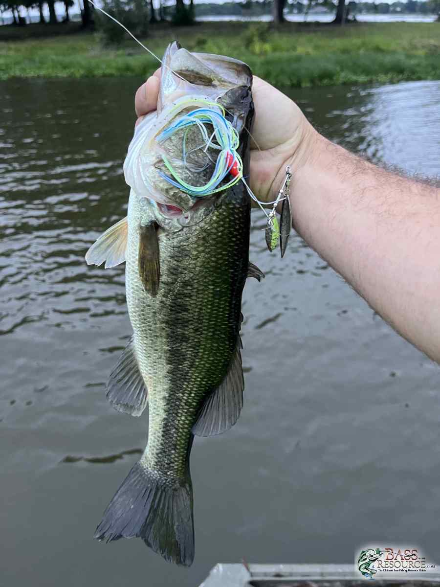 large.IMG_7401.jpeg