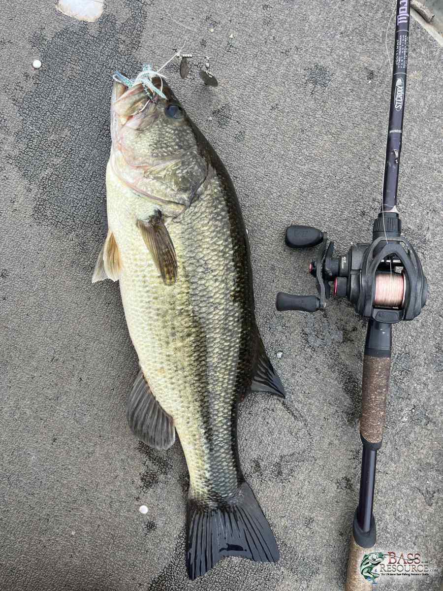 large.IMG_7489.jpeg