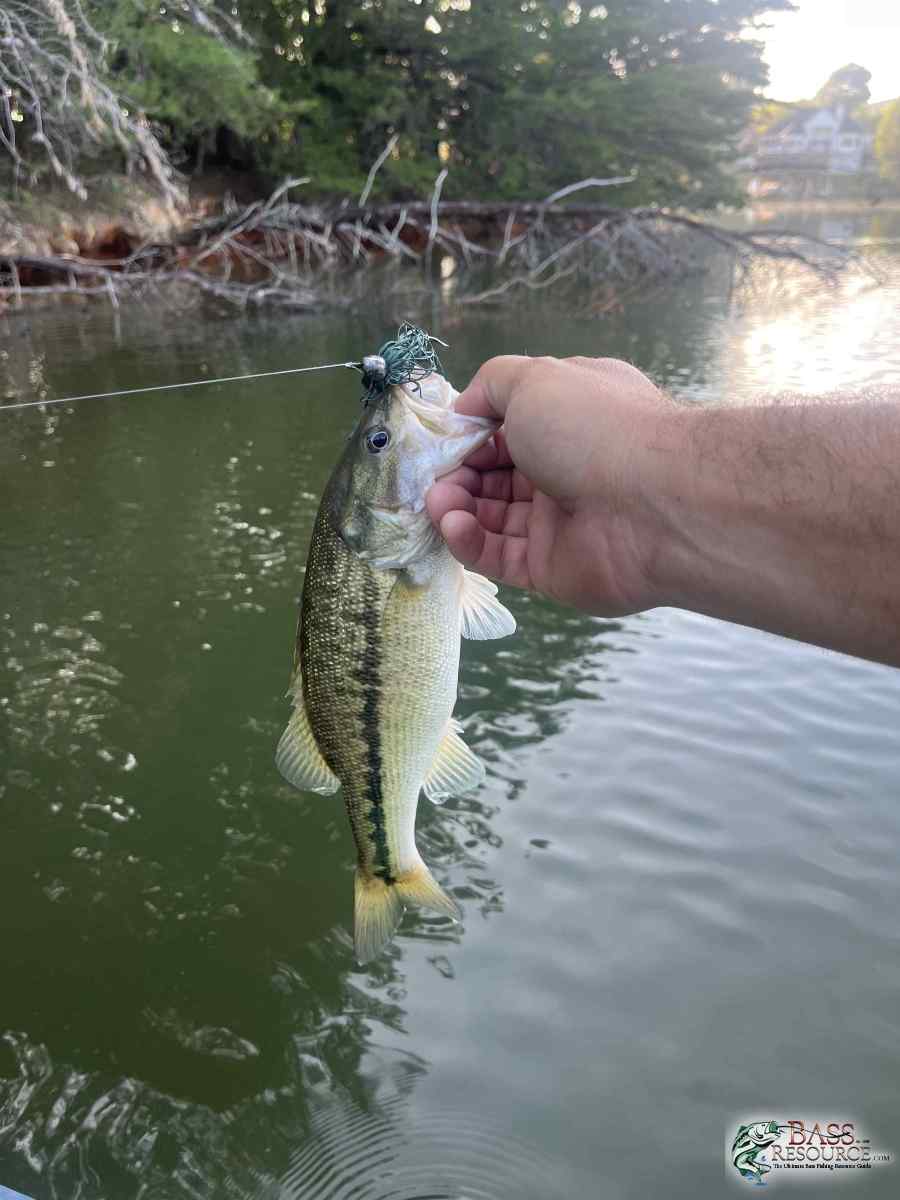 large.IMG_7634.jpeg