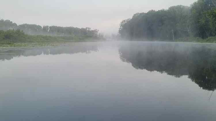 20260708_Bayou.jpg