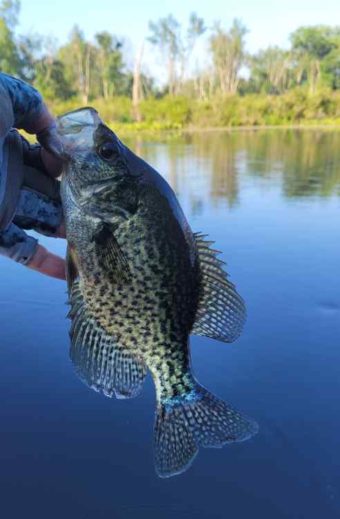 20260708_SbCrappie.jpg