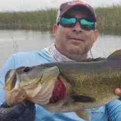 BassinLou