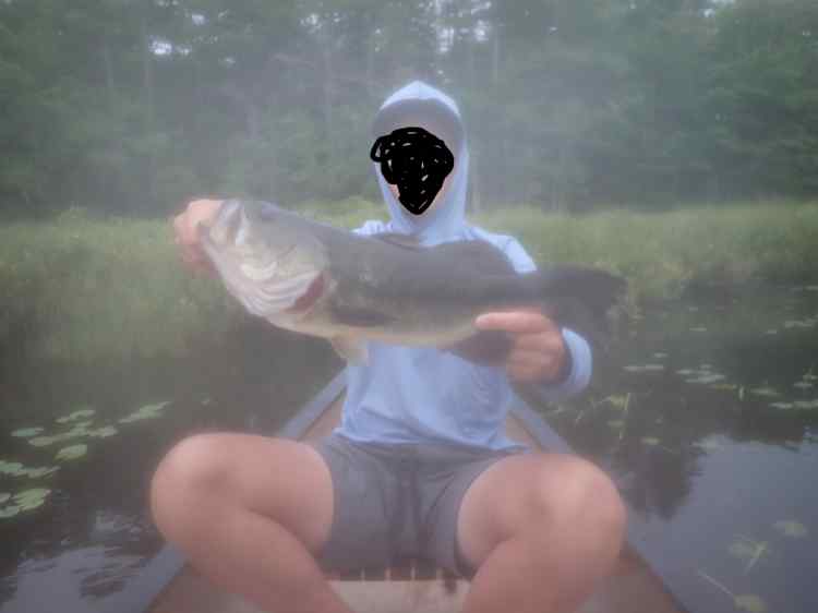 H1.JPG
