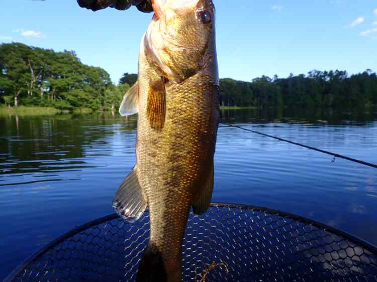 P7120006.JPG