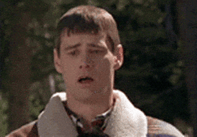 image.gif