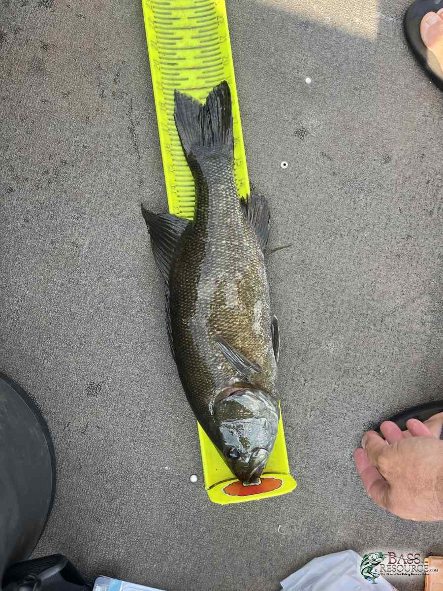 large.IMG_7928.jpeg