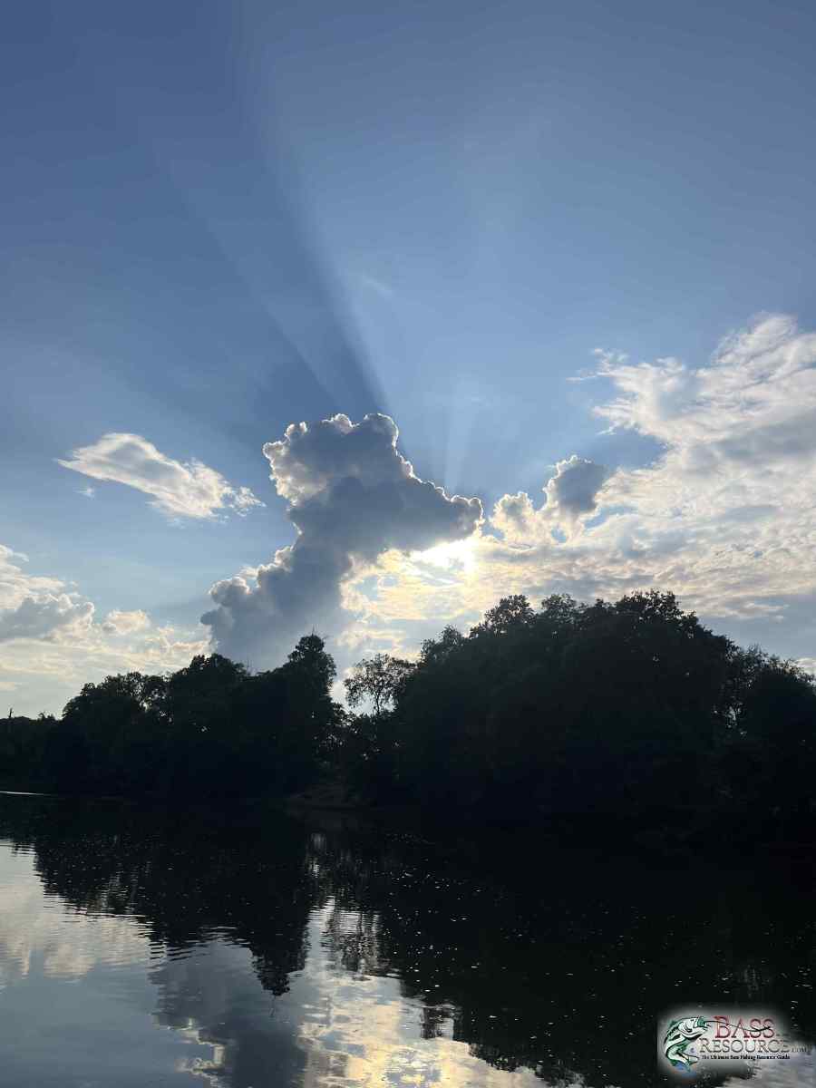large.IMG_7930.jpeg