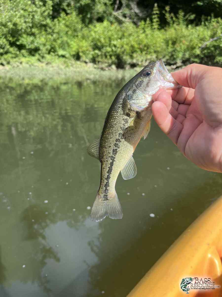 large.IMG_8034.jpeg