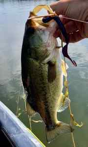 IMG_5194.jpeg