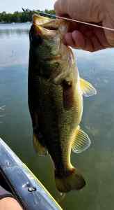 IMG_5196.jpeg