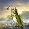 GulfCoastBassin