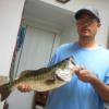 vinfish