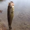 seekonkBass