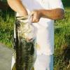 SwampBasser