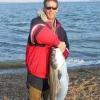 bayfisher