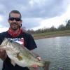 Gorilla Bass