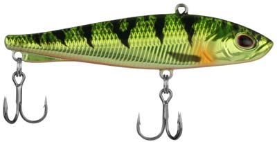 ripfish