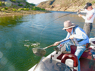 A good medium-heavy power spinning rod with fast tip is a rod every angler should have.