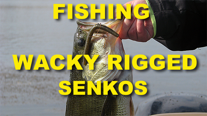 5 Tips For Fishing A Wacky Rig Senko, Video