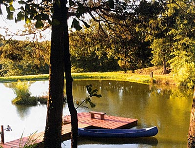 Is this your vision? What are the most important elements of a great pond?