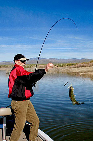 A medium-heavy power rod with a fast tip is a work horse for any angler. You can fish a variety of baits on this rod.