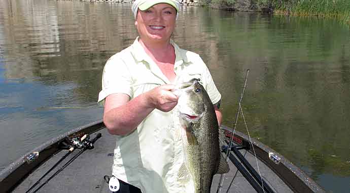 Baits That Trigger Reaction Bites | The Ultimate Bass Fishing Resource  Guide LLC
