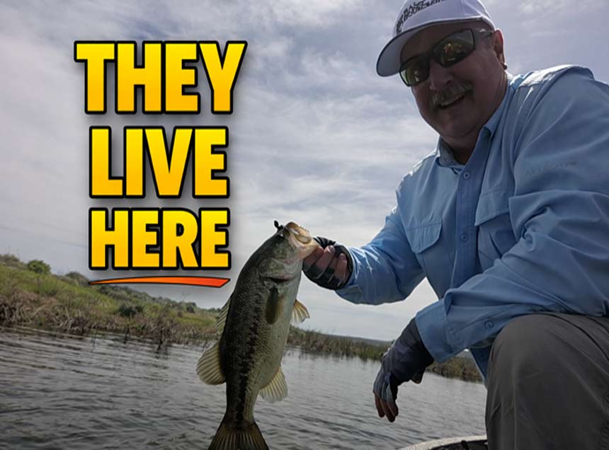 Bass fishing