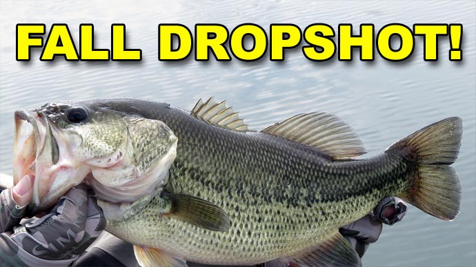 Best Fall Dropshot Tips for Bass Fishing (These Work!), Video