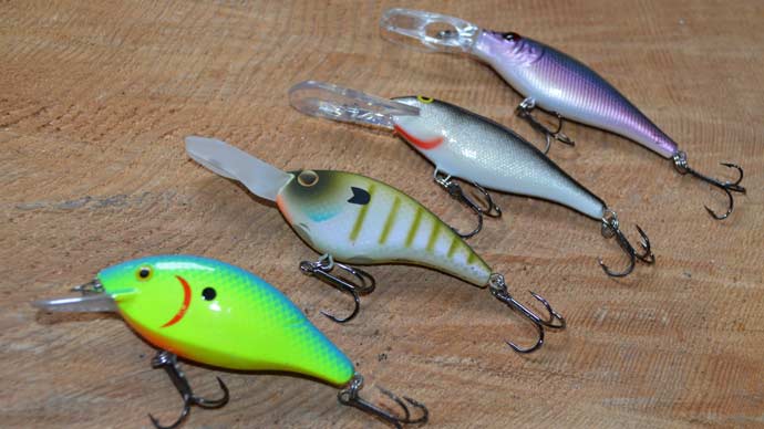 These Crankbaits Are Flat-Out The Best In February | The Ultimate Bass Fishing Resource Guide LLC These Crankbaits Are Flat-Out The Best In February | The Ultimate Bass Fishing Resource Guide LLC