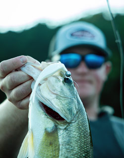 Bass fishing
