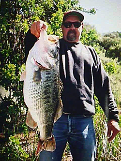 Big Swimbaits Catch Bass Everywhere  The Ultimate Bass Fishing Resource  Guide® LLC
