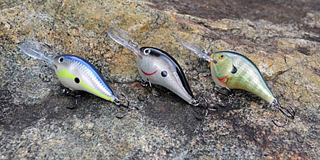 Major League Fishing and Bass Pro Tour angler Dave Lefebre likes options, especially when fishing a crankbait. In summer, he wants one that imitates a shad or panfish. Having different variations allows him to finetune his offering to the water color and bass activity. Photo by Pete M. Anderson