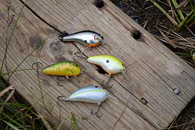 Proper lure selection is a big key to successfully cranking bass from shallow aquatic vegetation. Choose ones with round bodies and short bills that are angled 45 or more degrees from their body. Photo by Pete M. Anderson