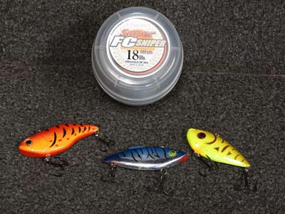 Most Anglers Fish Lipless Crankbaits Wrong | The Ultimate Bass Fishing Resource Guide LLC Most Anglers Fish Lipless Crankbaits Wrong | The Ultimate Bass Fishing Resource Guide LLC