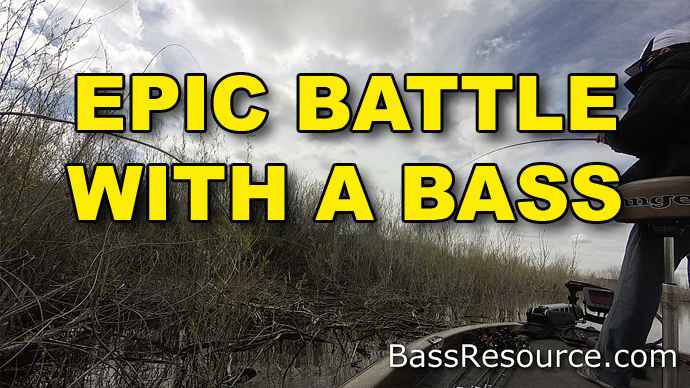 bass battle