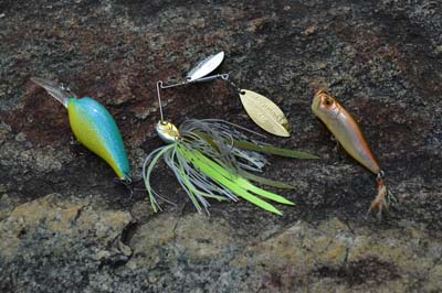 Bass bite various baits in fall, though all resemble baitfish and are small in profile. So, have a selection ready to fish, including topwaters, crankbaits, and double-willow spinnerbaits. Photo by Pete M. Anderson