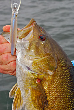 Ripping deep-diving crankbaits will catch smallmouth almost year round.