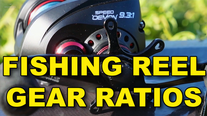 All About Fishing Reel Gear Ratios: The Definitive Guide