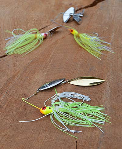 Spinnerbaits are relatively simple to understand and fish, making them a perfect starting point for beginning bass anglers. Master their use, and you're well on your way to catching bass on buzzbaits and bladed jigs. Photo by Pete M. Anderson