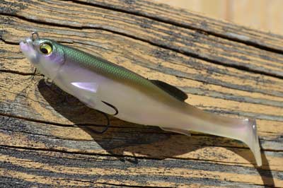 Big soft-plastic swimbaits cater to prespawn bass’ big appetites. Use a Texas rig or hidden treble to serve them in whatever cover or structure you encounter. Photo by Pete M. Anderson