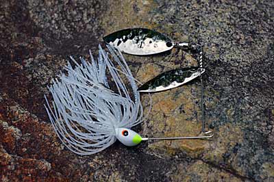 blue fish massachusetts lures Essential Plugs for Topwater Bluefish